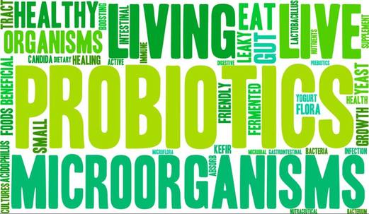 probiotics, digestion, immune system, wellness, get healthier, gut health